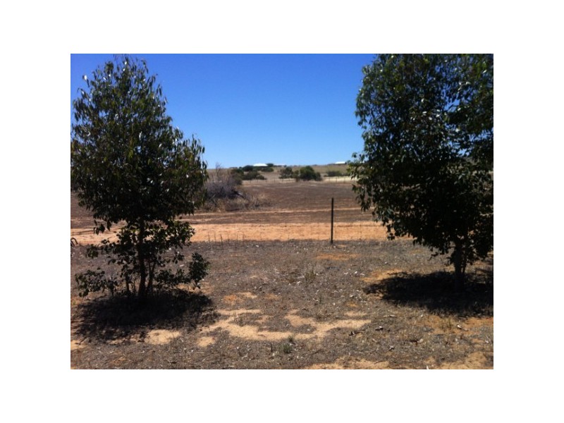 57 Calder Place, Waggrakine WA 6530