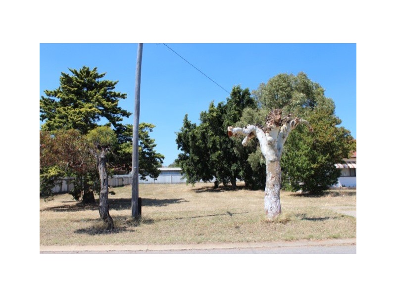 8 Betula Street, Rangeway WA 6530