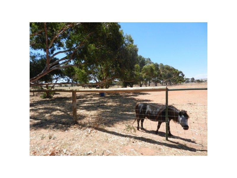 5 Roding Court, Deepdale WA 6532