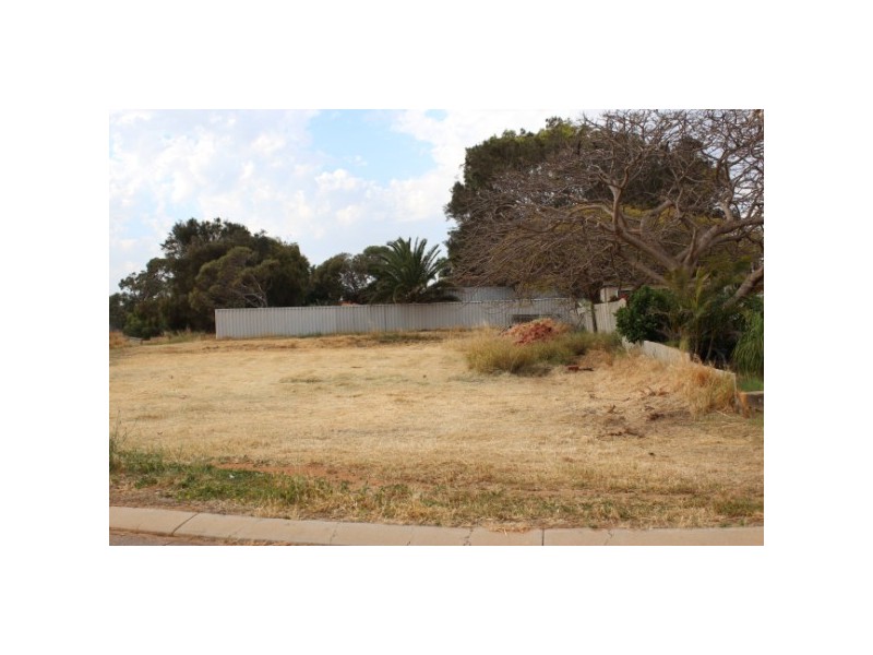 16 Vincent Street, Spalding WA 6530