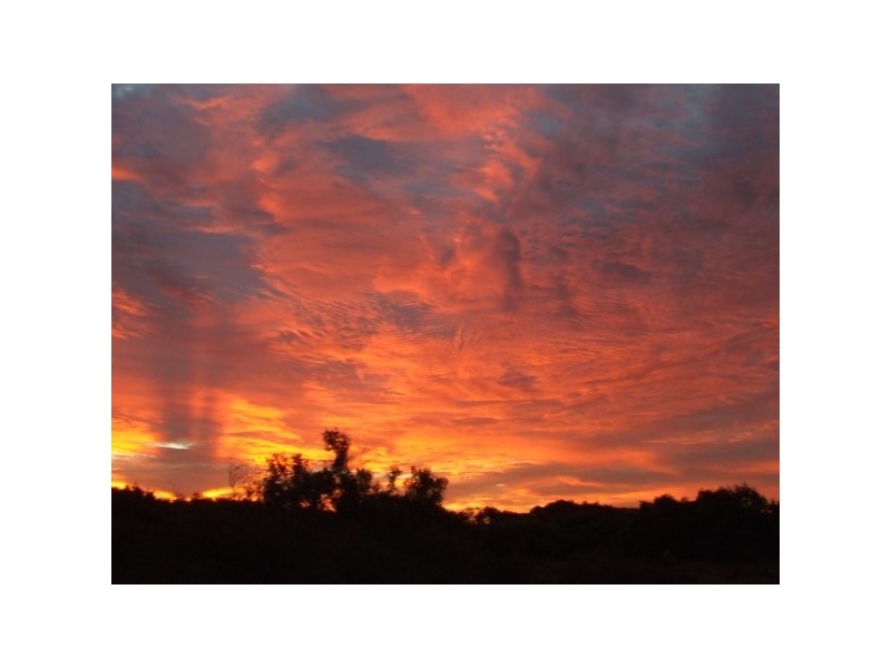 203 Company Road, Greenough WA 6532