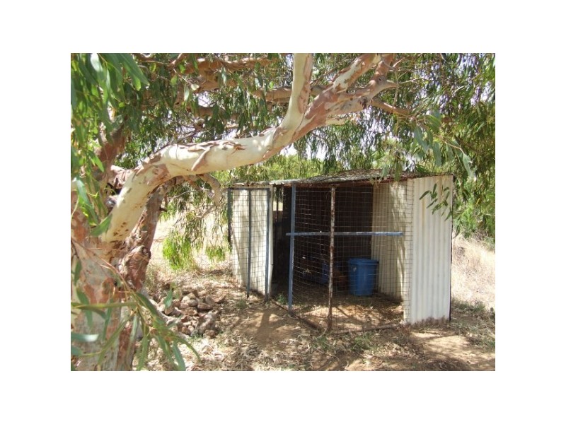 203 Company Road, Greenough WA 6532