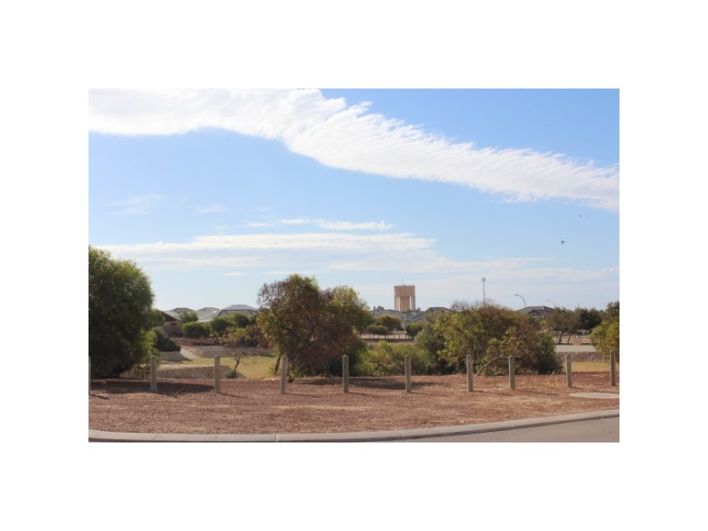 10 Essie Street, Wandina WA 6530