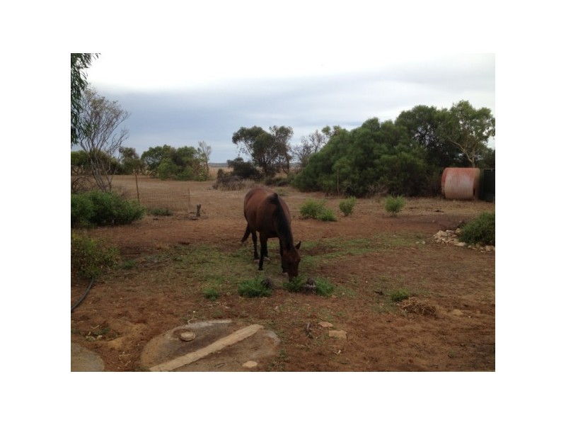 62 Reynolds Road, South Greenough WA 6528