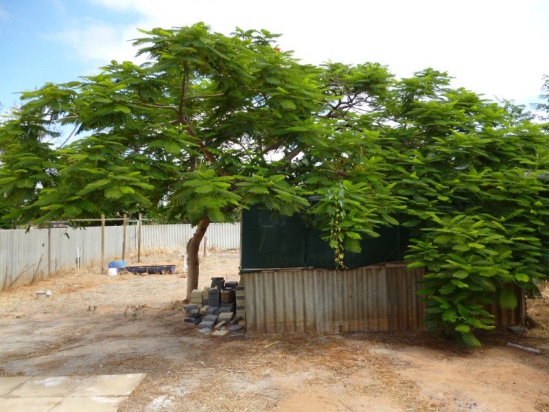 264 Seventh Street, Wonthella WA 6530