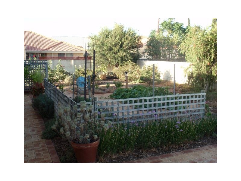 44 Charles Street, Bluff Point WA 6530