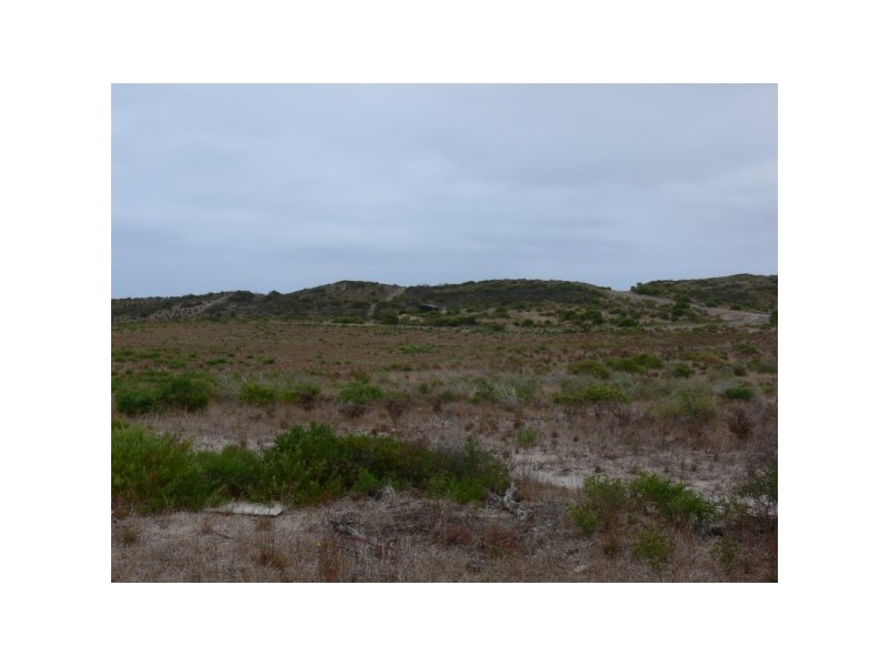 134 African Reef Boulevard, Greenough WA 6532