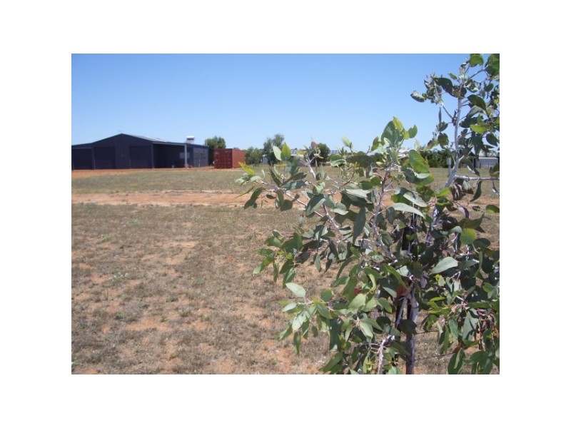 42 Dressage Circle, Deepdale WA 6532