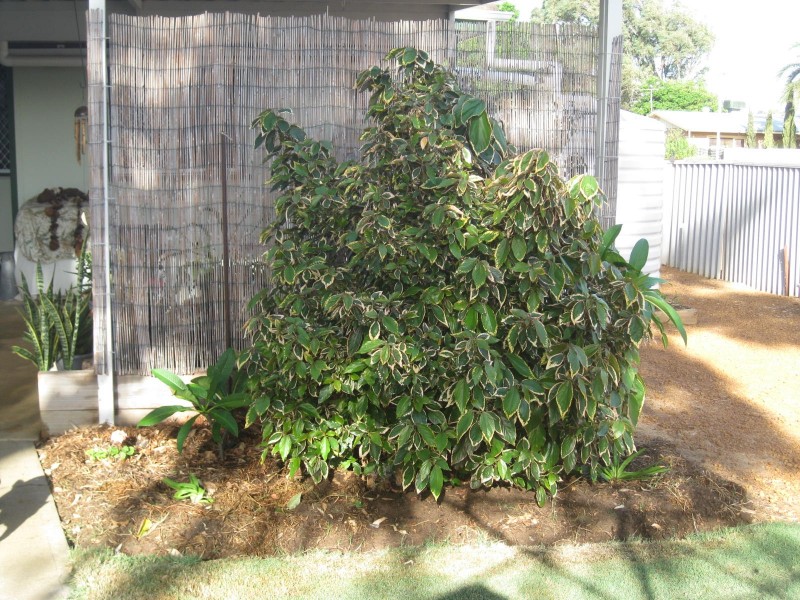 34 Rifle Range Road, Rangeway WA 6530