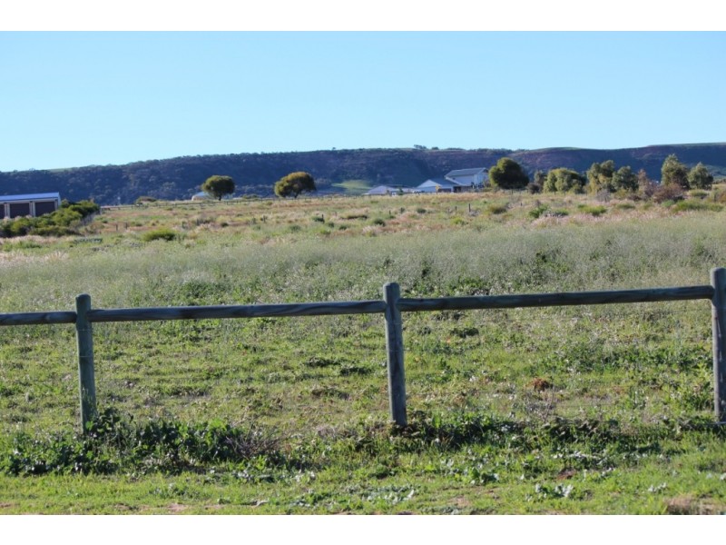 144 Wittenoom Circle, White Peak WA 6532