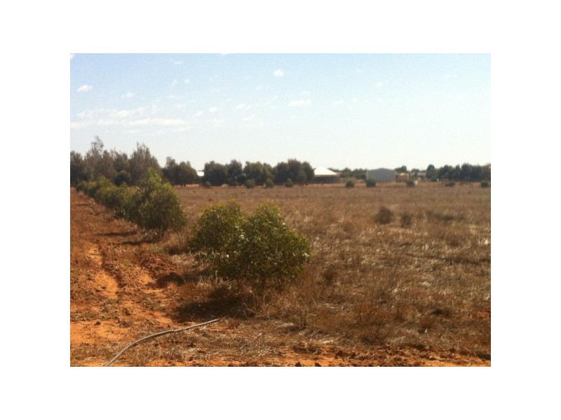 7 Lincoln Street, Deepdale WA 6532