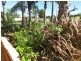 2 Jade Place, Rangeway WA 6530