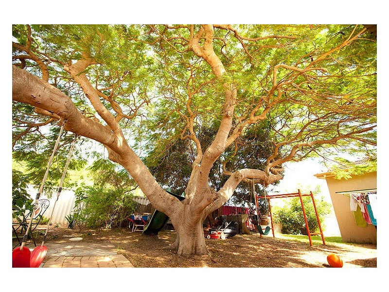 736 Chapman Rd, Glenfield WA 6532