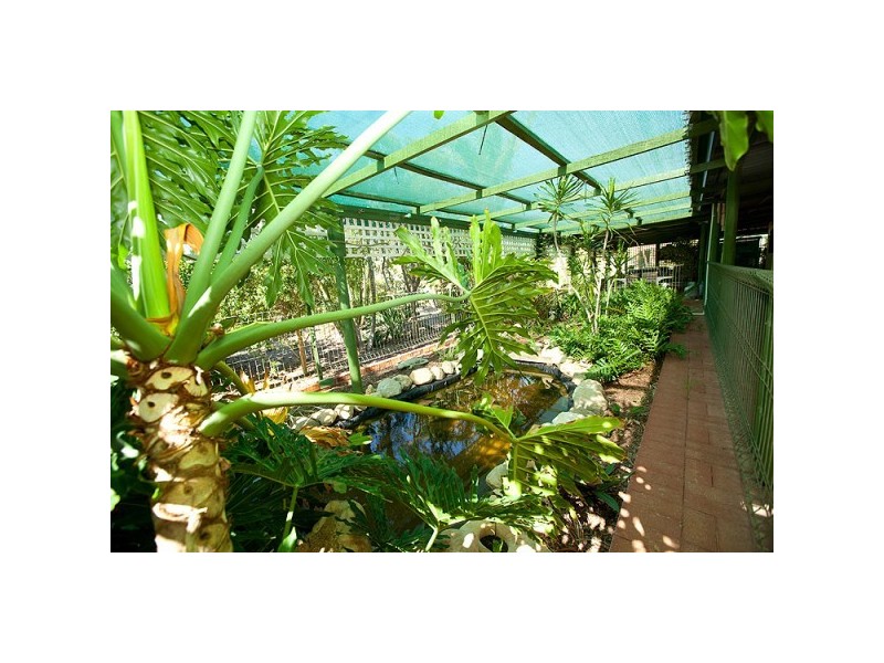 429 David Road, Waggrakine WA 6530