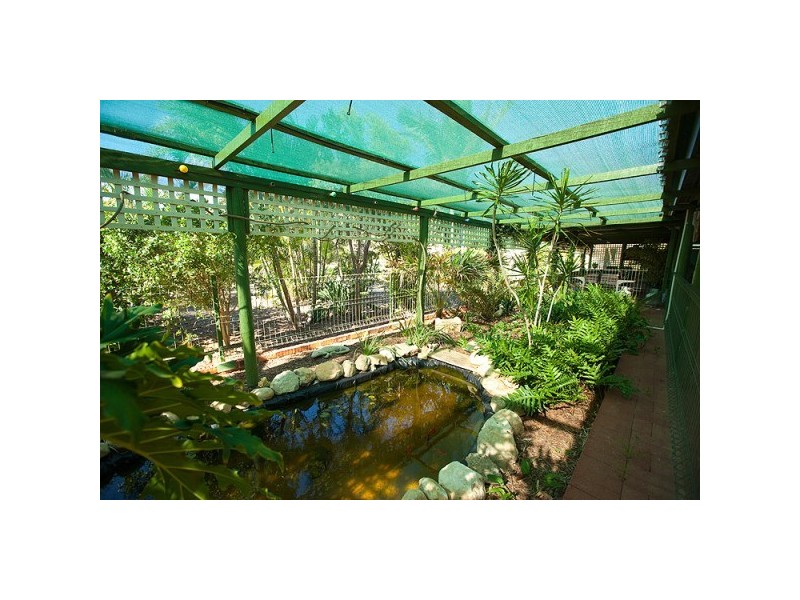 429 David Road, Waggrakine WA 6530