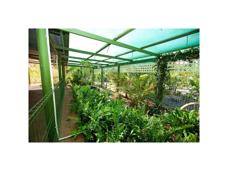 429 David Road, Waggrakine WA 6530