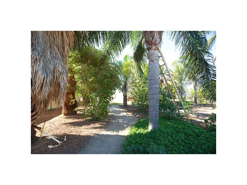 429 David Road, Waggrakine WA 6530