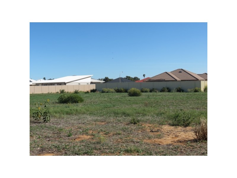 13 Donegal Street, Utakarra WA 6530