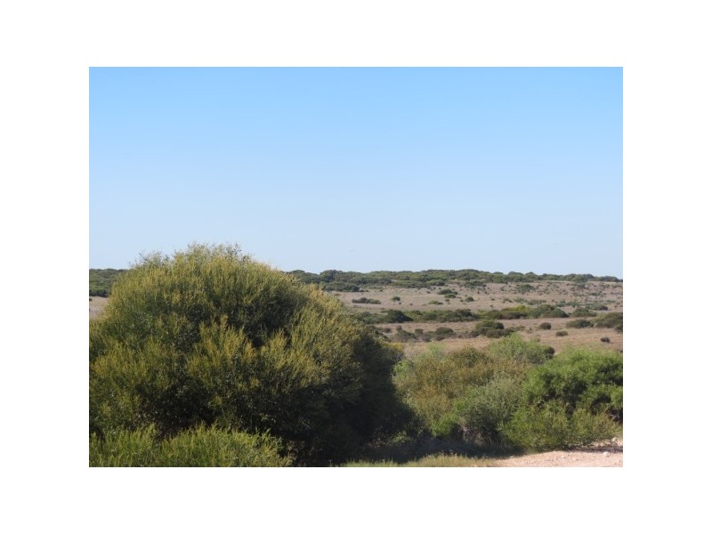 14 Admiral Link, Wandina WA 6530