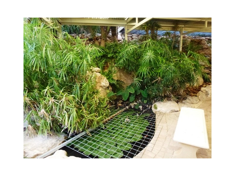 11 Ettrick Court, Cape Burney WA 6532