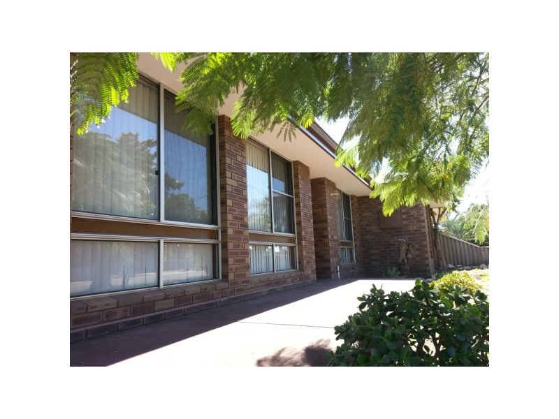 19 Hale Street, Rangeway WA 6530