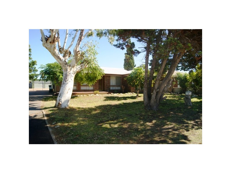 19 Hale Street, Rangeway WA 6530