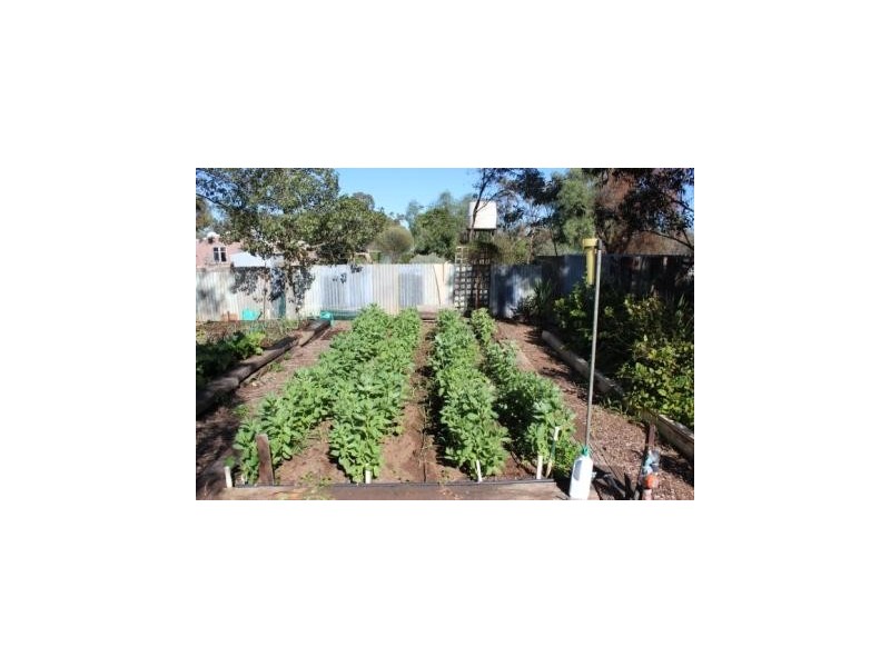 45 East Terrace, Nanson WA 6532