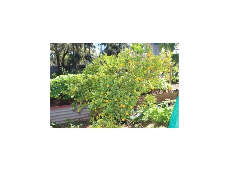 45 East Terrace, Nanson WA 6532