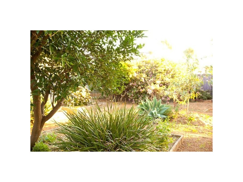 551 Chapman Road, Sunset Beach WA 6530