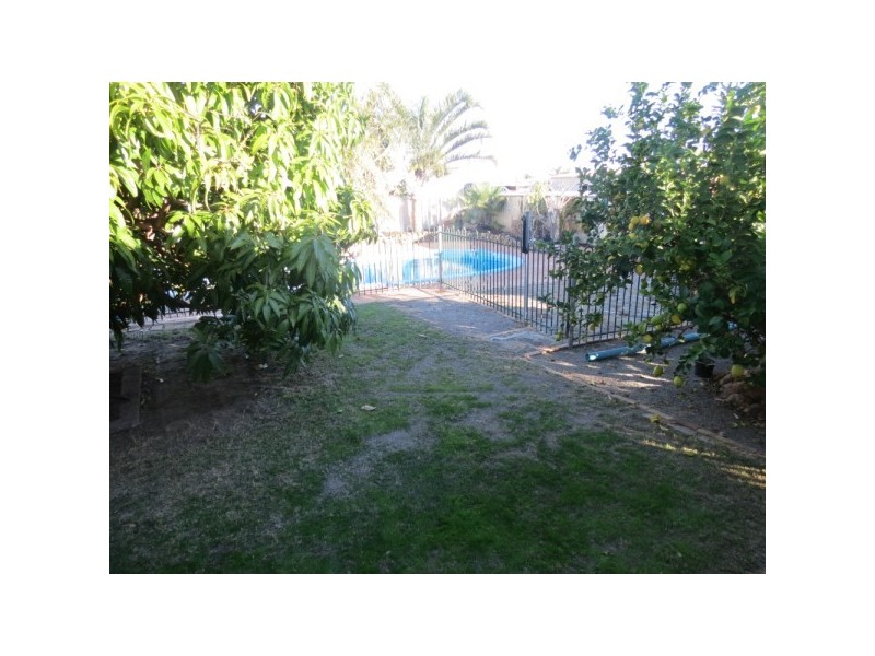 196 Chapman Valley Road, Waggrakine WA 6530