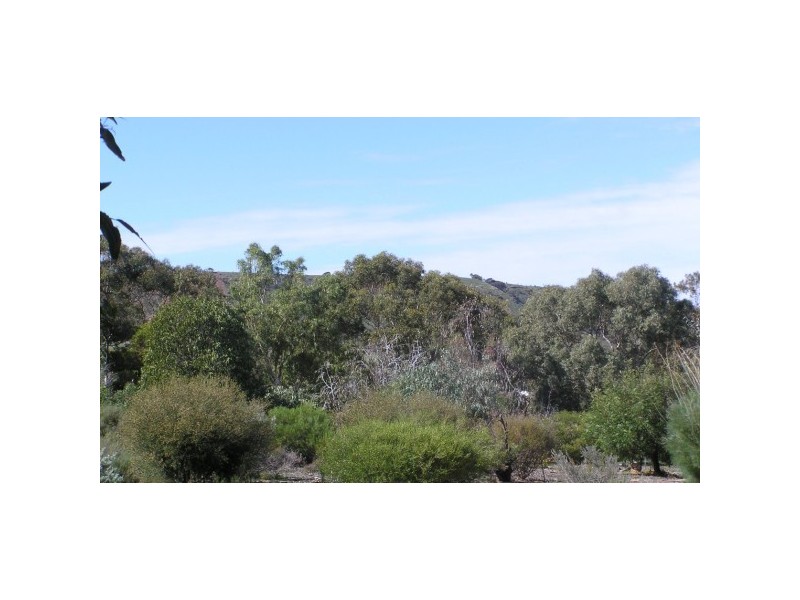 34 Stephen Road, Waggrakine WA 6530