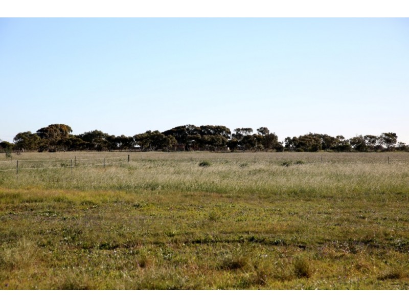 431 Alexander Drive, Glenfield WA 6532