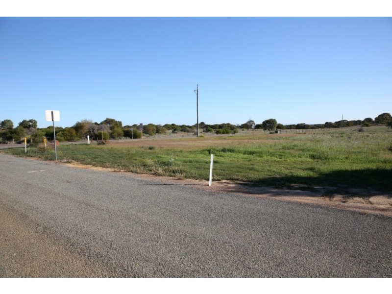 431 Alexander Drive, Glenfield WA 6532