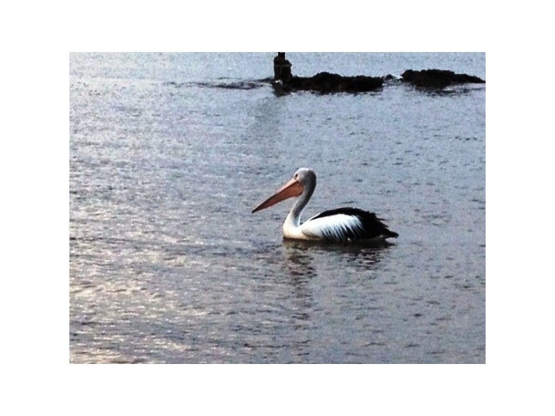 27 Thames Drive, Cape Burney WA 6532