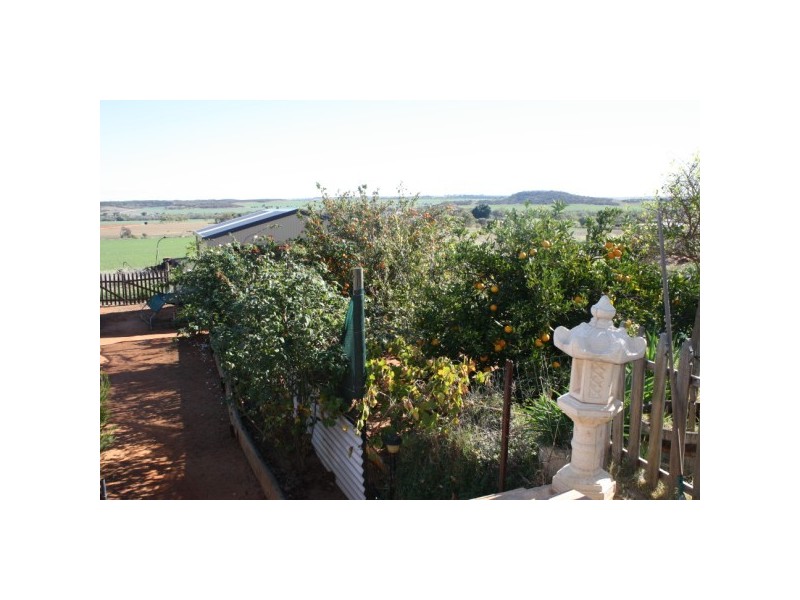 18 Indialla Road, Nabawa WA 6532