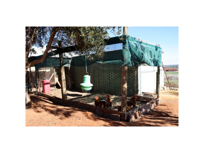 18 Indialla Road, Nabawa WA 6532