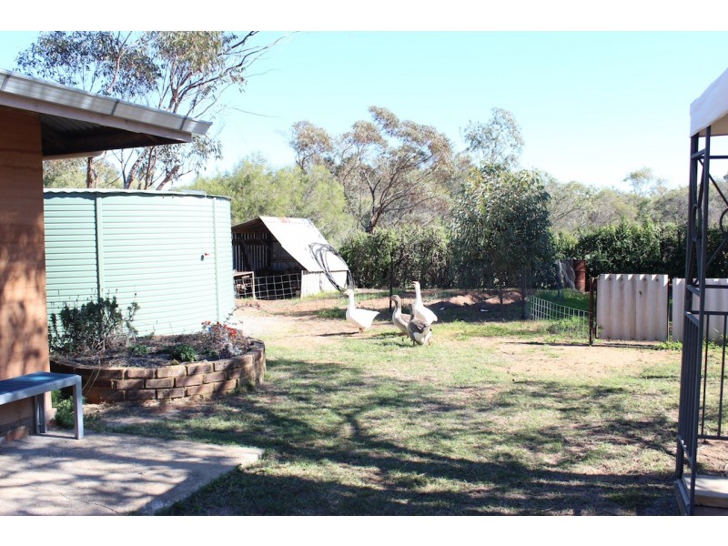 41 East Terrace, Nanson WA 6532