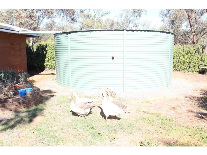 41 East Terrace, Nanson WA 6532