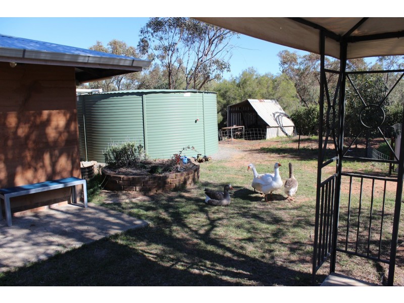 41 East Terrace, Nanson WA 6532