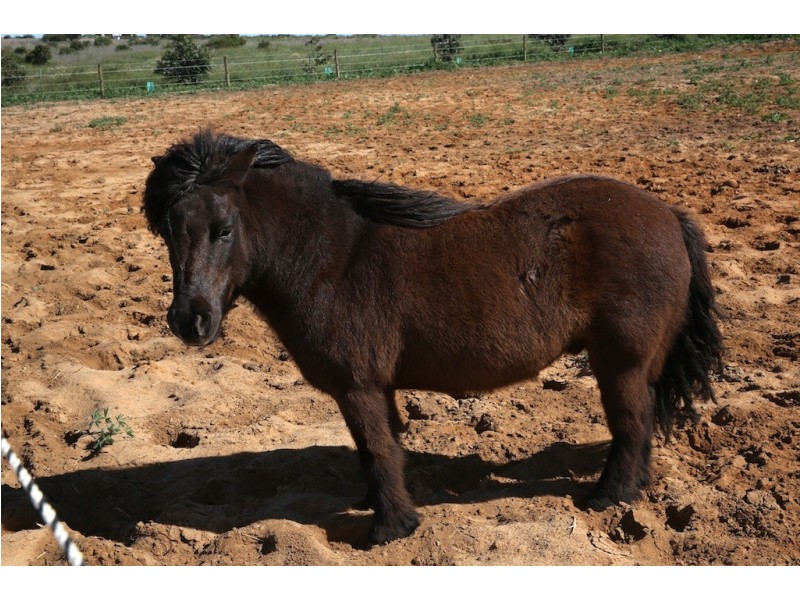 27 Meadowcroft Street, Rudds Gully WA 6532