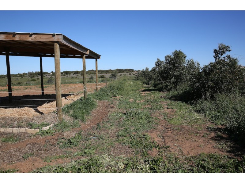 27 Meadowcroft Street, Rudds Gully WA 6532