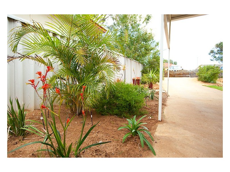 11 Felicia Street, Rangeway WA 6530