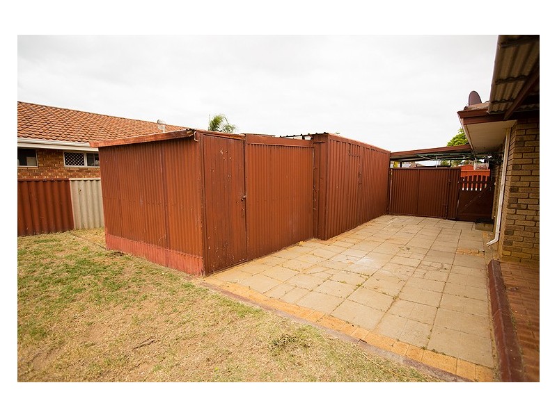 16 Jabiru Way, Waggrakine WA 6530