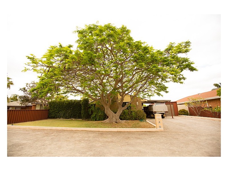 16 Jabiru Way, Waggrakine WA 6530