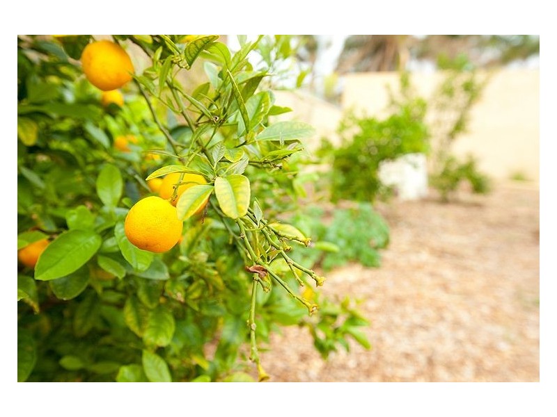 8 Amalda Place, Sunset Beach WA 6530