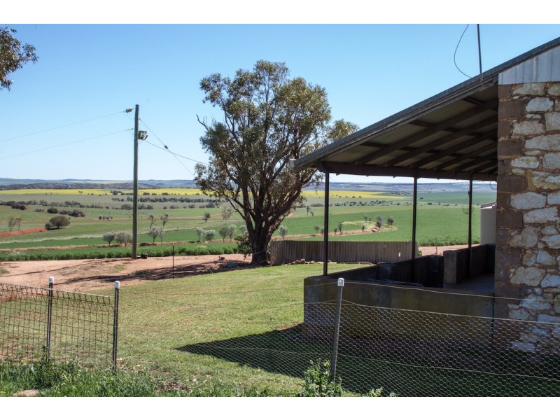 ARBLAY FARM 138 Whitehurst Tetlow Road, Nabawa WA 6532