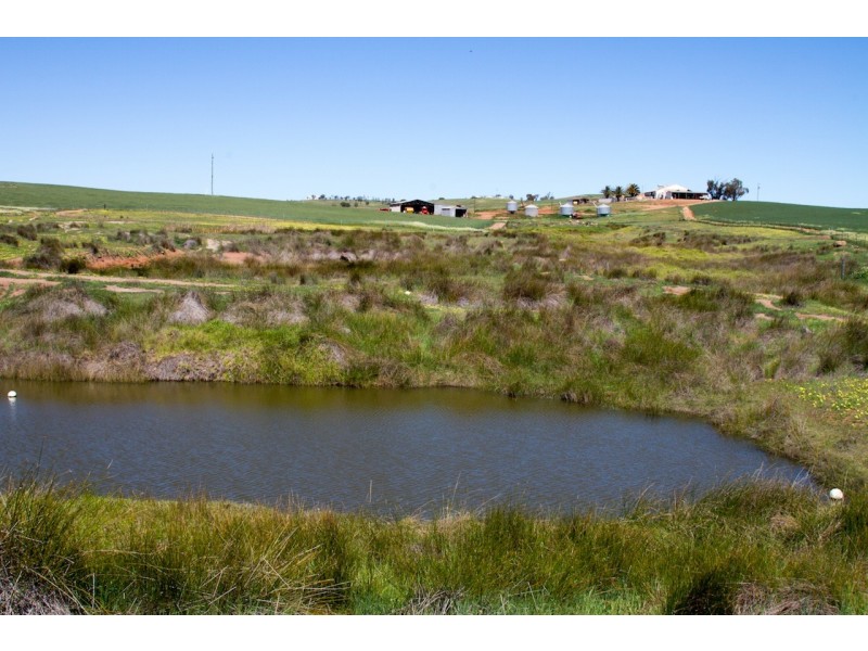 ARBLAY FARM 138 Whitehurst Tetlow Road, Nabawa WA 6532