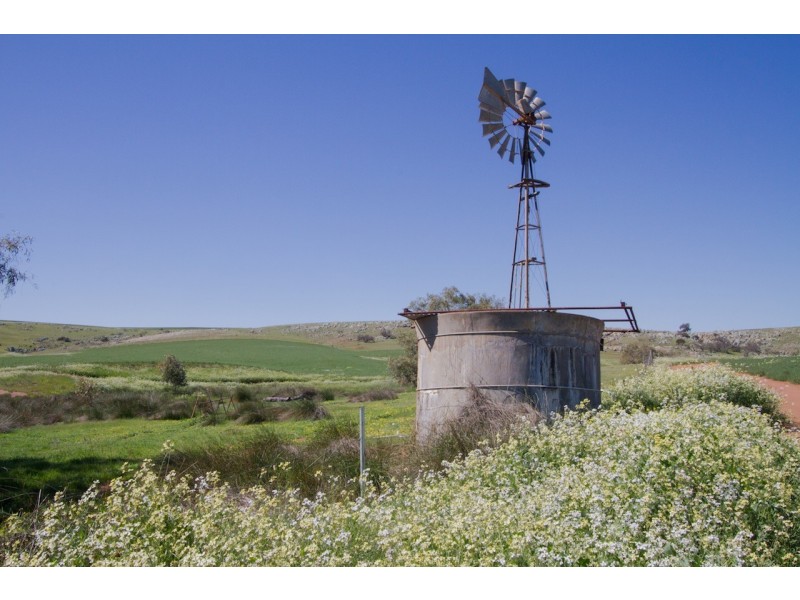 ARBLAY FARM 138 Whitehurst Tetlow Road, Nabawa WA 6532