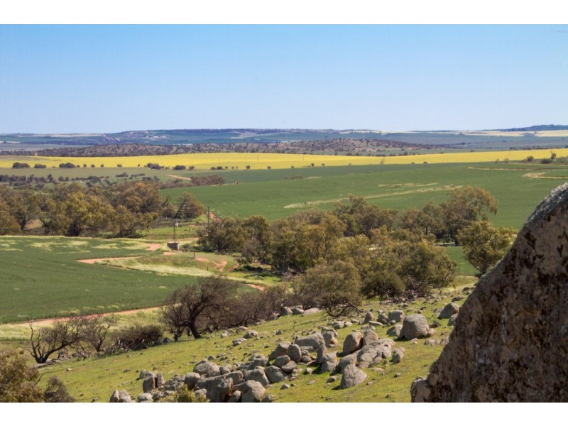 ARBLAY FARM 138 Whitehurst Tetlow Road, Nabawa WA 6532