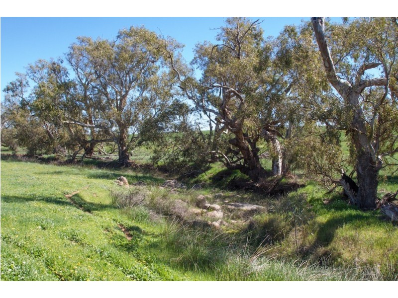 ARBLAY FARM 138 Whitehurst Tetlow Road, Nabawa WA 6532